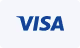 visa icon